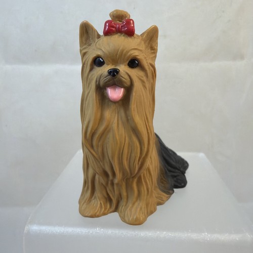 Yorkshire terrier sitting red - yorkshire,