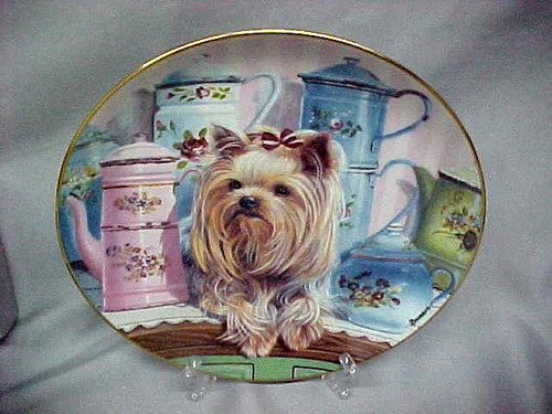 Tea anyone yorkie pals - anyone?,