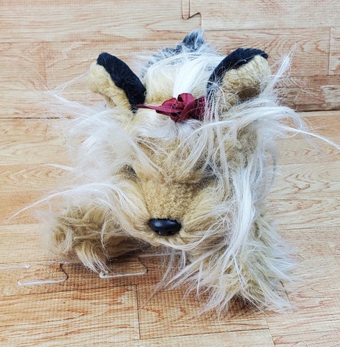 Animal alley yorkshire terrier - animal,