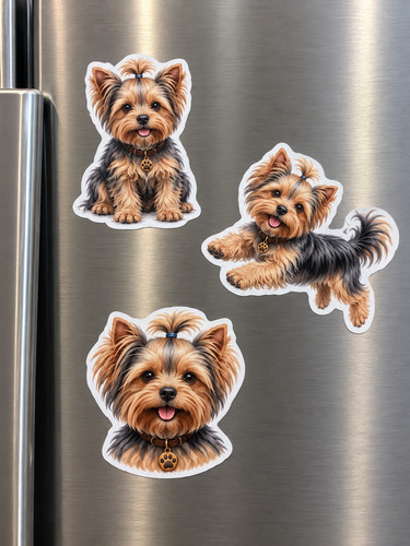 Yorkshire terrier yorkie - yorkshire,