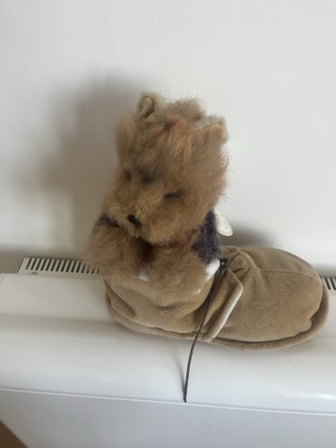 Vintage yorkshire terrier - vintage, in