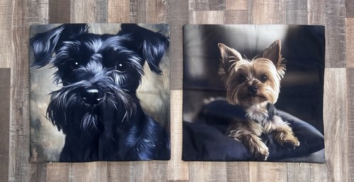 Adorable yorkshire terrier - adorable,