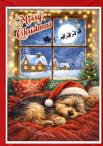 Yorkshire terrier yorkie dog - terrier,,