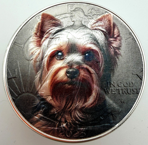 Yorkshire terrier american - terrier,