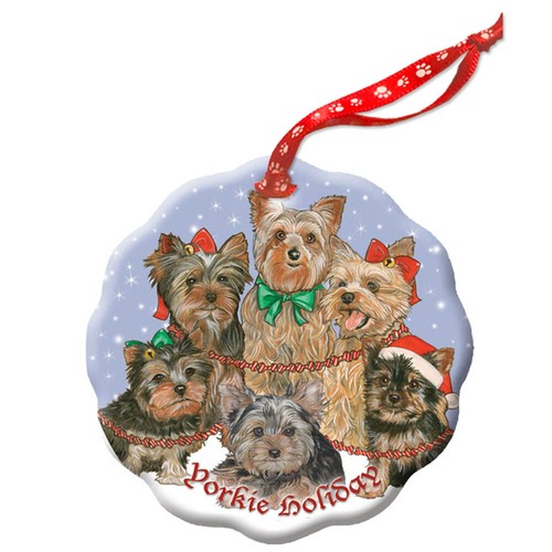 Yorkshire terrier yorkie - terrier,