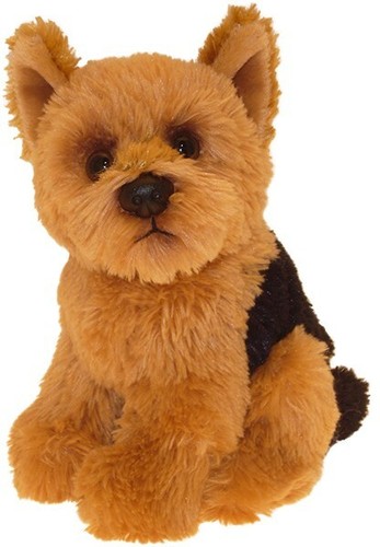 Yorkshire terrier teddy - 6.5",
