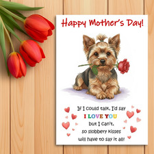 Yorkshire Terrier – Yorkie