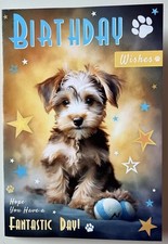 YORKSHIRE TERRIER CUTE DOG