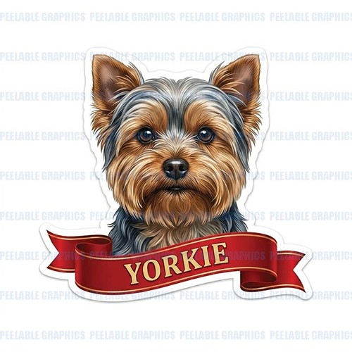 Yorkshire terrier yorkie - terrier, dog