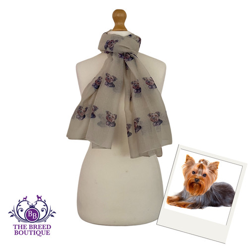Yorkshire terrier dog - yorkshire, scarf