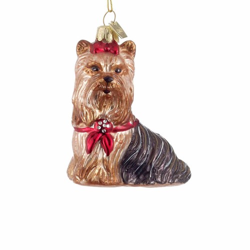 Noble gems yorkshire terrier - noble,