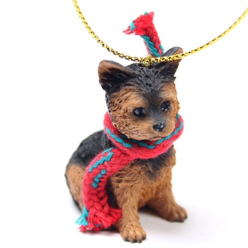 Yorkshire terrier tiny - terrier,