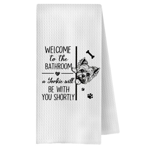 Funny yorkshire terrier - yorkshire,