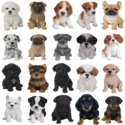 Vivid arts pet - arts, pals