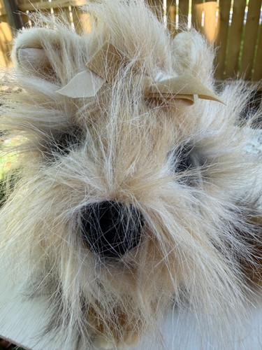 Lou rankin yorkie timothy - rankin,