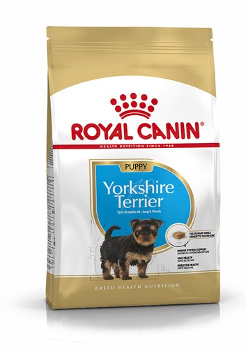 Royal canin yorkshire - yorkshire, terrier