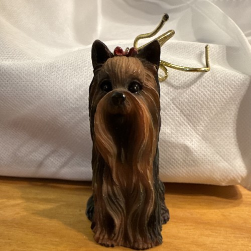 Yorkshire terrier yorkie dog - yorkshire,