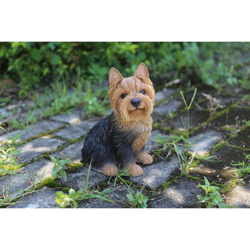 Line gift ltd dog - gift,