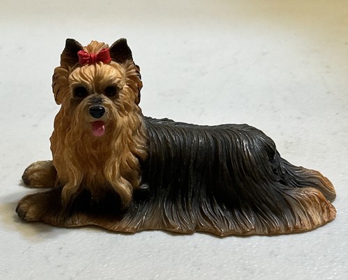 Yorkshire terrier yorkie - terrier,