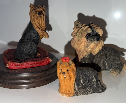 Yorkshire terrier dog - terrier,
