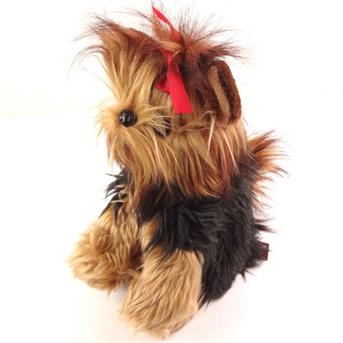Yorkshire terrier yorkie - terrier, "yorkie"