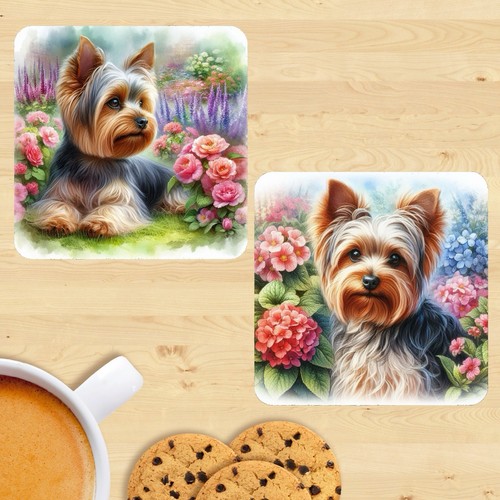 Yorkshire terrier dog - yorkshire,