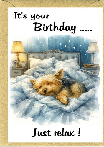 Yorkshire terrier yorkie - terrier,