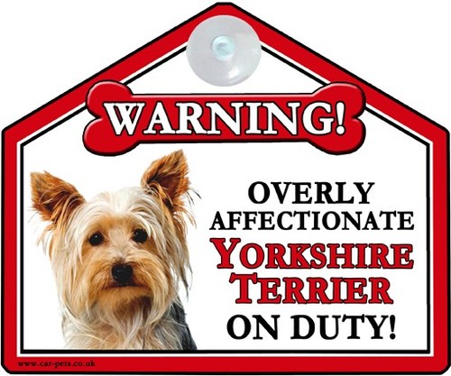 Yorkshire terrier dog lover - yorkshire,
