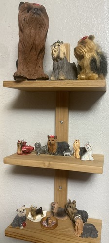 Group yorkshire terrier - group,