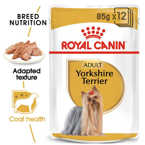 Royal canin yorkshire - yorkshire, terrier