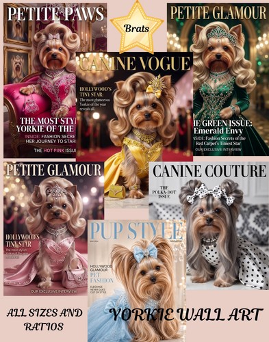 Glamorous yorkshire terrier - yorkshire,
