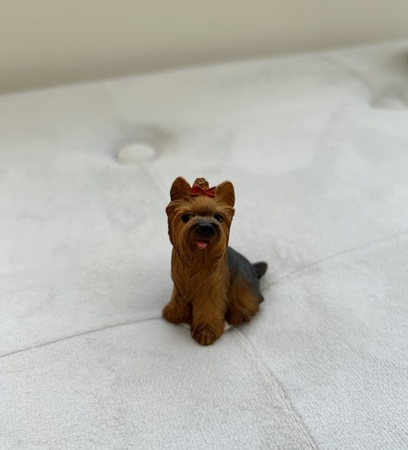 Mini yorkshire terrier dog - yorkshire,