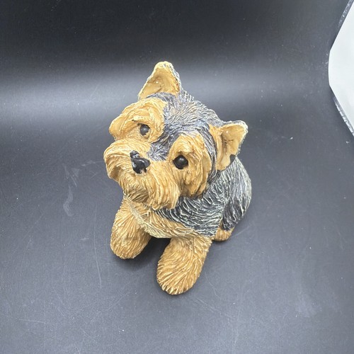 Yorkshire terrier dog - yorkshire,
