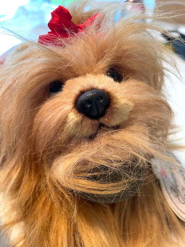 Toto dorothy dog yomiko - dorothy's,