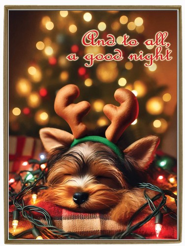 Yorkshire terrier christmas - terrier,