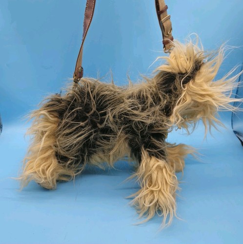 Yorkshire terrier dog - yorkshire,
