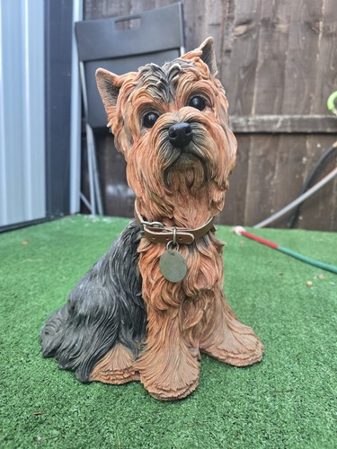 Barkers yorkshire terrier - barkers,