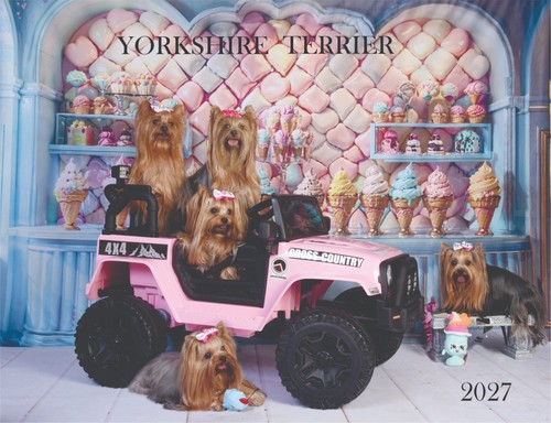 2027 yorkshire terrier - 2027,