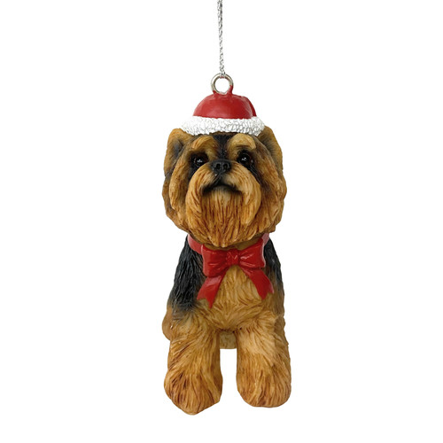 Yorkshire terrier yorkie - yorkshire,