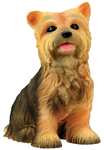 Yorkshire terrier puppy dog - puppy,