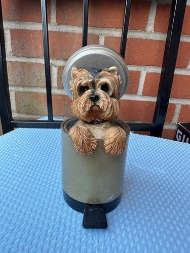 Yorkshire terrier dog - dog, leonardo