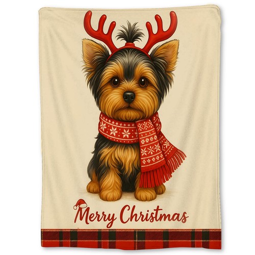 Christmas yorkshire terrier - christmas,