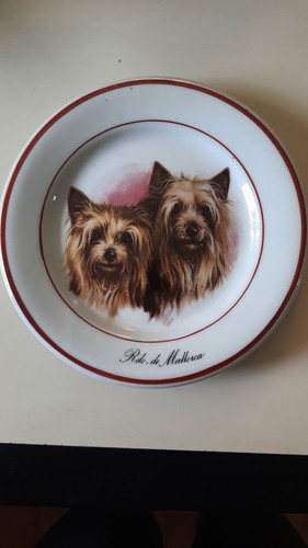 Vintage yorkshire terrier - vintage,