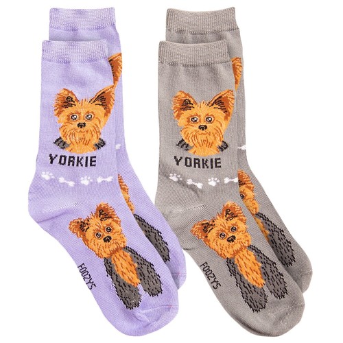Yorkie yorkshire terrier - yorkie,