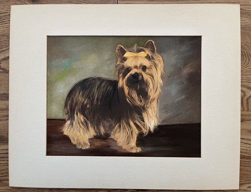 Yorkshire terrier dog portrait - yorkshire,