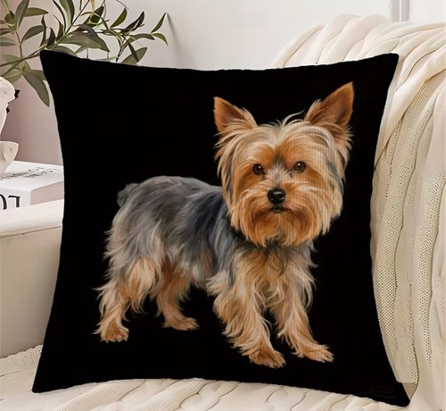 Super soft yorkshire terrier - yorkshire,