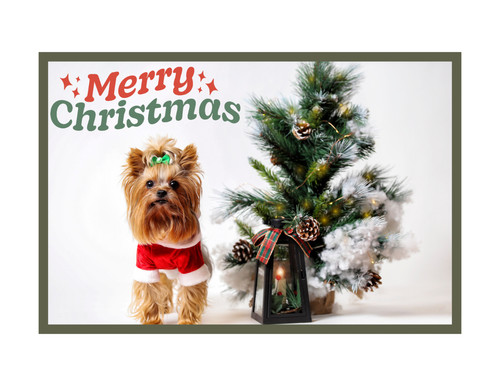 Merry christmas yorkie - merry,