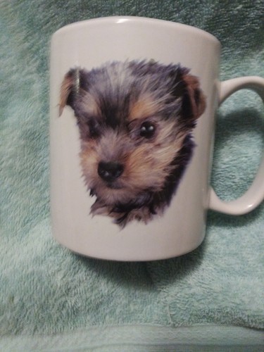 White yorkshire terrier mug - yorkshire, 16