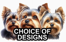 Yorkshire Terrier Self