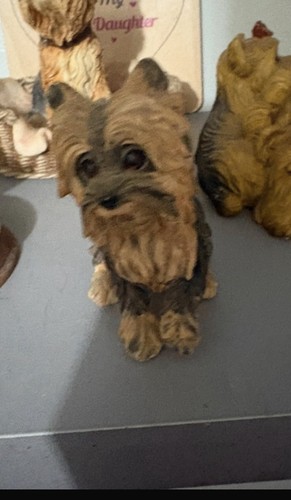 Yorkshire terrier dog - dog, ornament